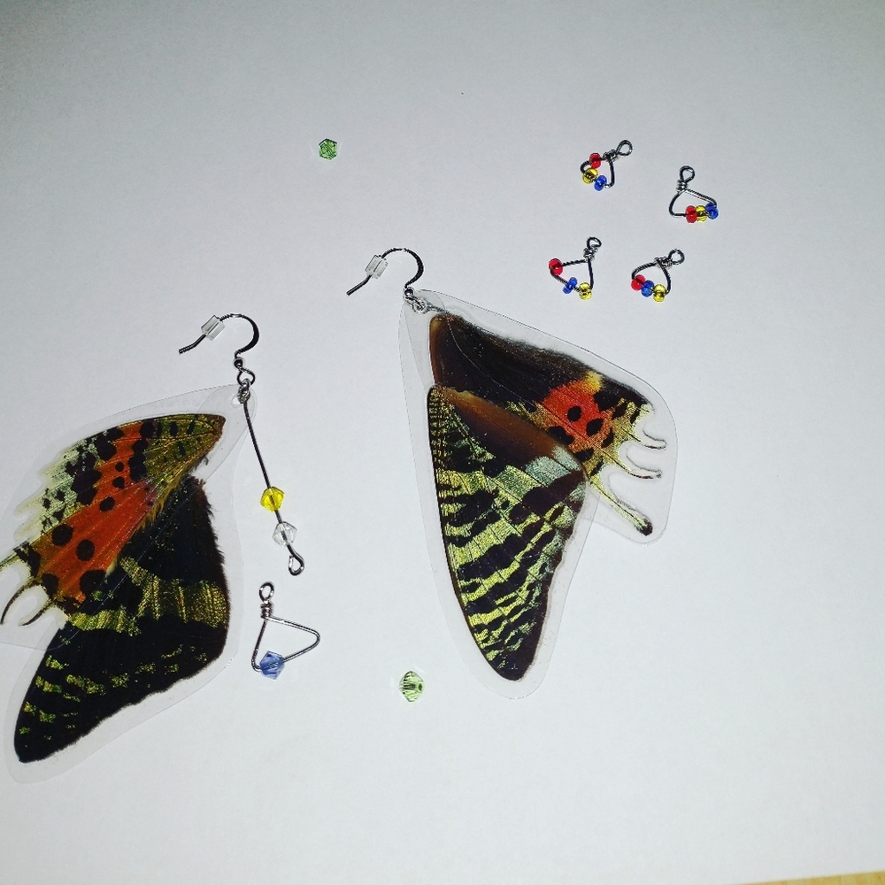 Real wing earrings